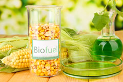 Falmer biofuel availability